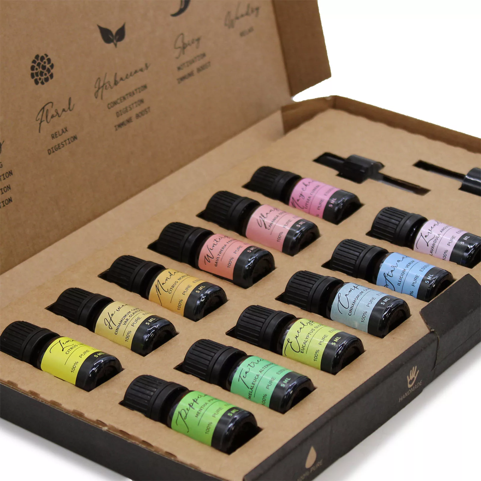 Aromatherapy Essential Oil Set – Starter Pack