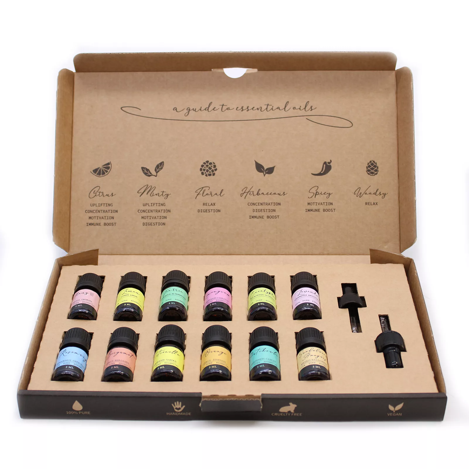 Aromatherapy Essential Oil Set – The Top 12