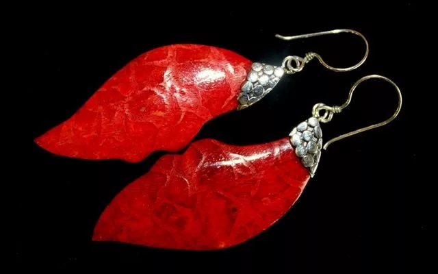 925 Silver Earrings – Leaf Drop
