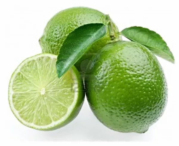 Coconut and Lime - Argan Solid Shampoo Loaf - Image 3