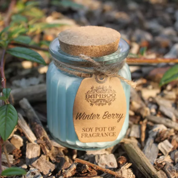 Winter Berry Soy Pot of Fragrance Candles - Image 3