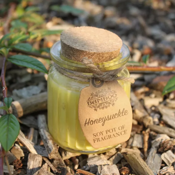 Honeysuckle Soy Pot of Fragrance Candles - Image 3