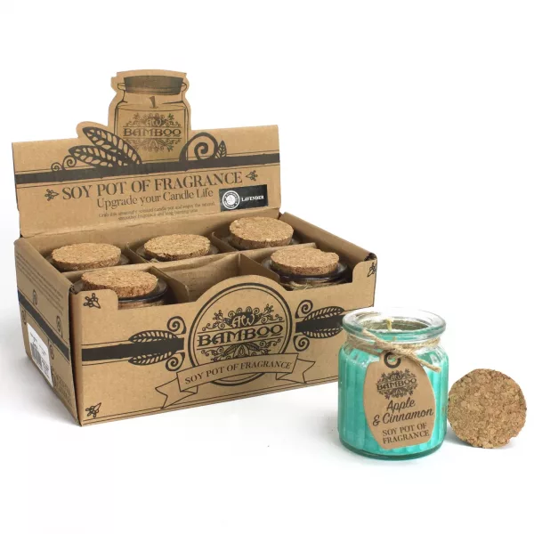 Apple & Cinnamon Soy Pot of Fragrance Candles - Image 2