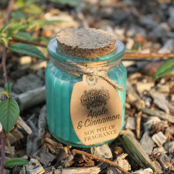 Apple & Cinnamon Soy Pot of Fragrance Candles - Image 3