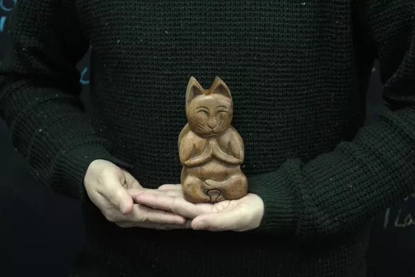 Bali Magic Box - Yoga Cat - Image 3
