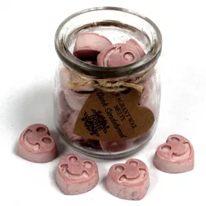 Soywax Melts Jar – Dark Sandalwood