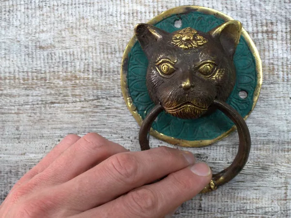 Brass Door Knocker - Cats Head - Image 4