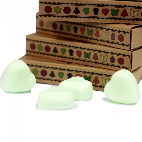 Box of 6 Wax Melts - Watermelon Fresh - Image 3