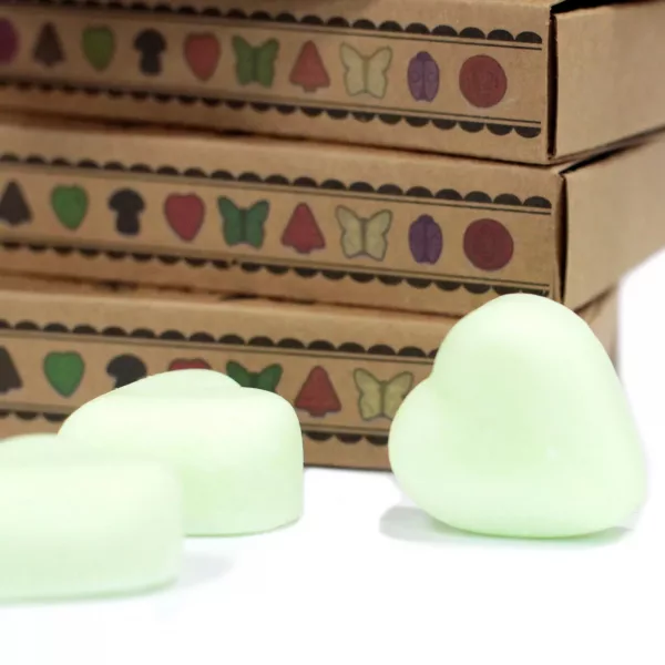 Box of 6 Wax Melts - Watermelon Fresh - Image 4