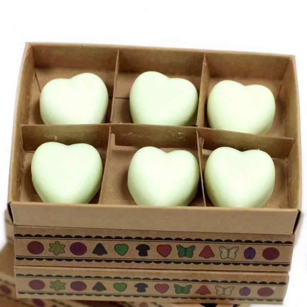 Box of 6  Wax Melts - Mint & Menthol - Image 3