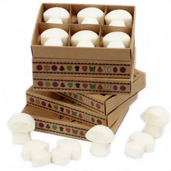 Box of 6 Wax Melts - White Musk - Image 2