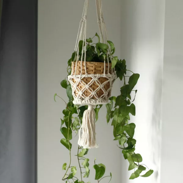 Macrame Pot Holder - Double Holder - Image 2