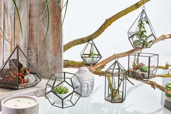 Glass Terrarium - Large Octagon - Image 4