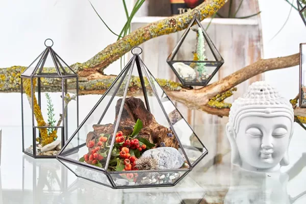 Glass Terrarium - Lantern Shape - Image 4