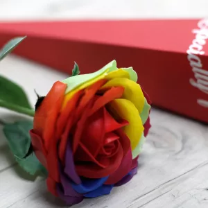 Luxury Soap Flower - Rainbow