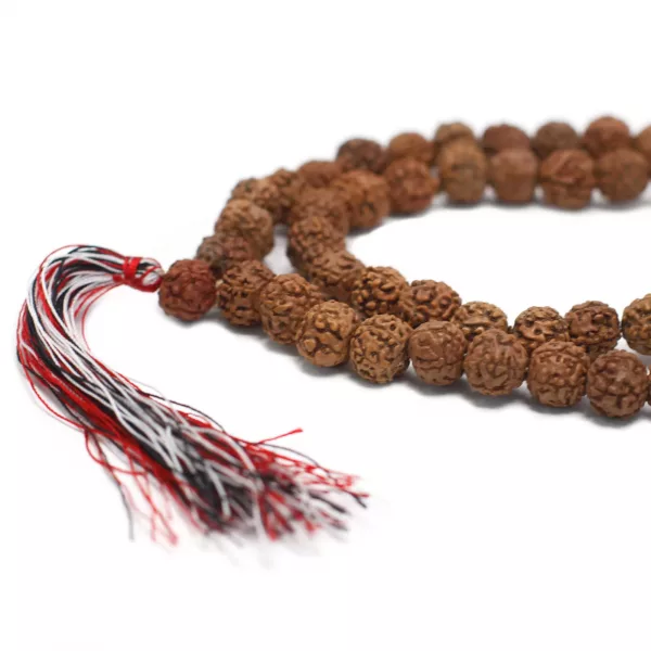108 Rudraksha Mala - Natural - Image 2
