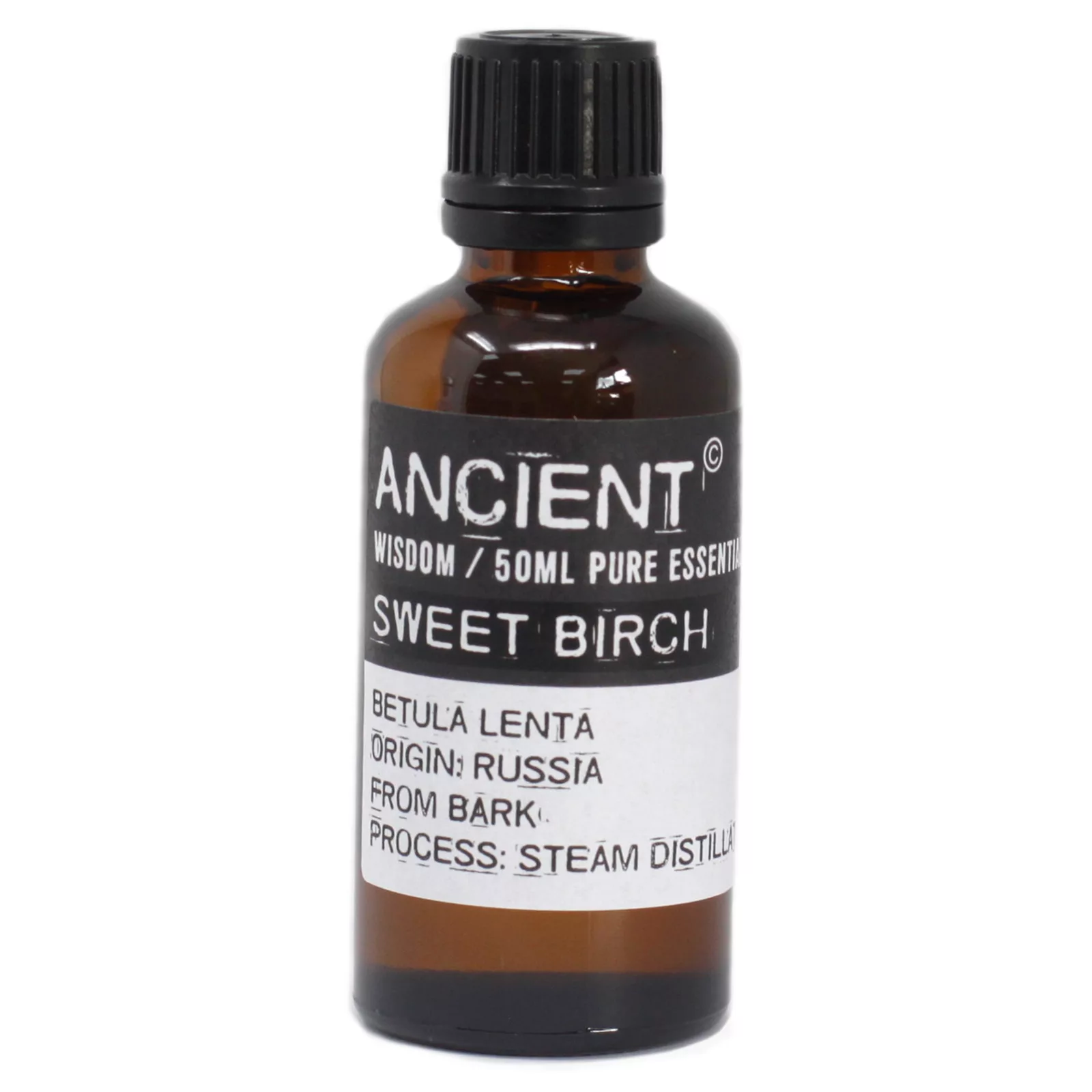 Sweet Birch 50ml - Image 2