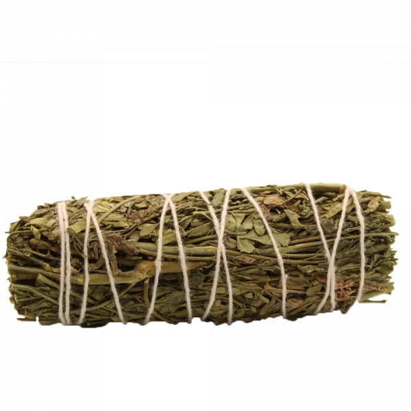Smudge Stick -  Ruda Rue Sage 10cm - Image 2