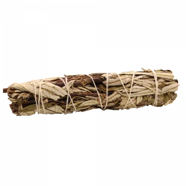 Smudge Stick - Black Sage 15cm - Image 2