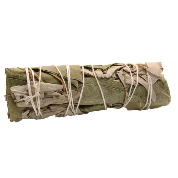 Smudge Stick - White Sage & Juniper 10cm - Image 4