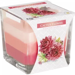 Rainbow Jar Candle - Cactus flower