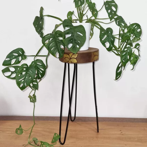 Albasia Wood Plant Stand - Natural & gold detail - Image 3