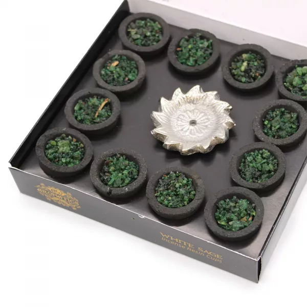 Box of 12 Resin Cups - White Sage - Image 3