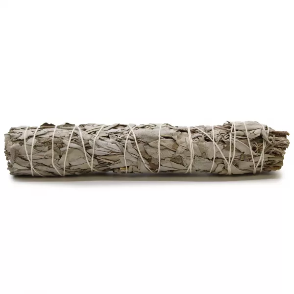 Smudge Stick - White Sage 22.5 cm - Image 4