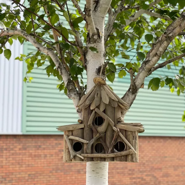 Driftwood Birdbox - Croft - Image 3