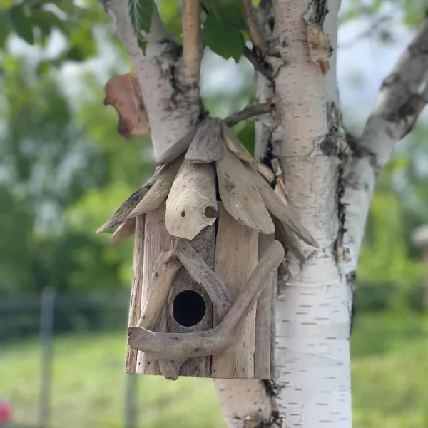 Driftwood Birdbox - Wallhanging - Image 3