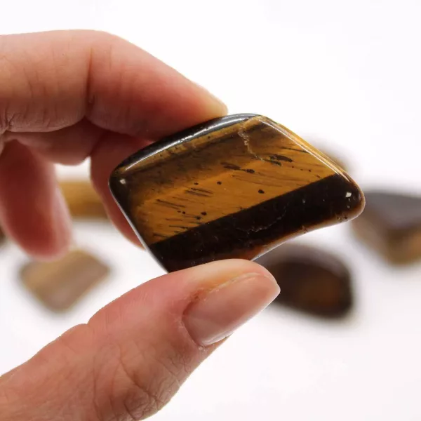 L Tumble Stones - Tiger Eye - Gold - Image 2