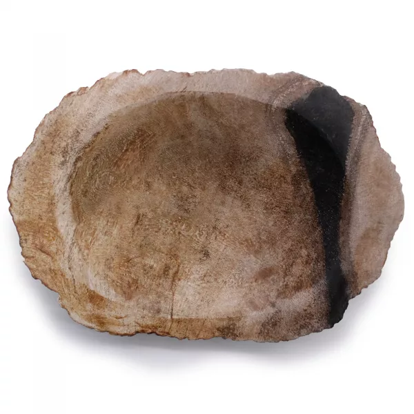 Petrified Wood Black Soap Dish - Image 2