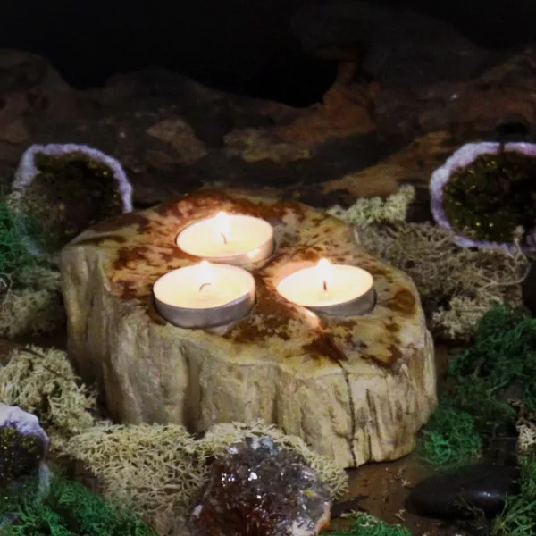 Petrified Wood Candle Holder - Triple - Image 4