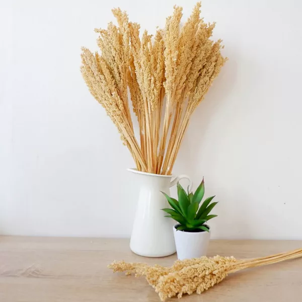 Cantal Grass Bunch - Natural - Image 2
