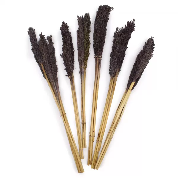 Cantal Grass Bunch - Black - Image 4