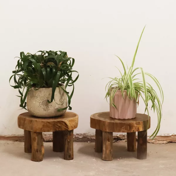 Med Teak Pad Display - 27x15cm - Image 3