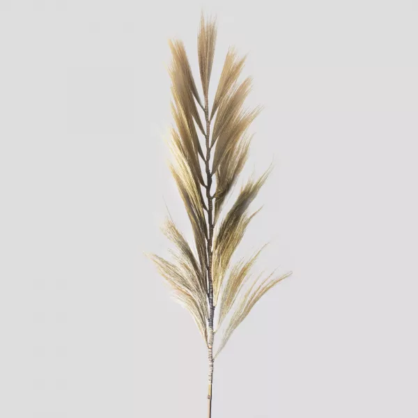 Rayung Grass Blond - 2m - Image 2