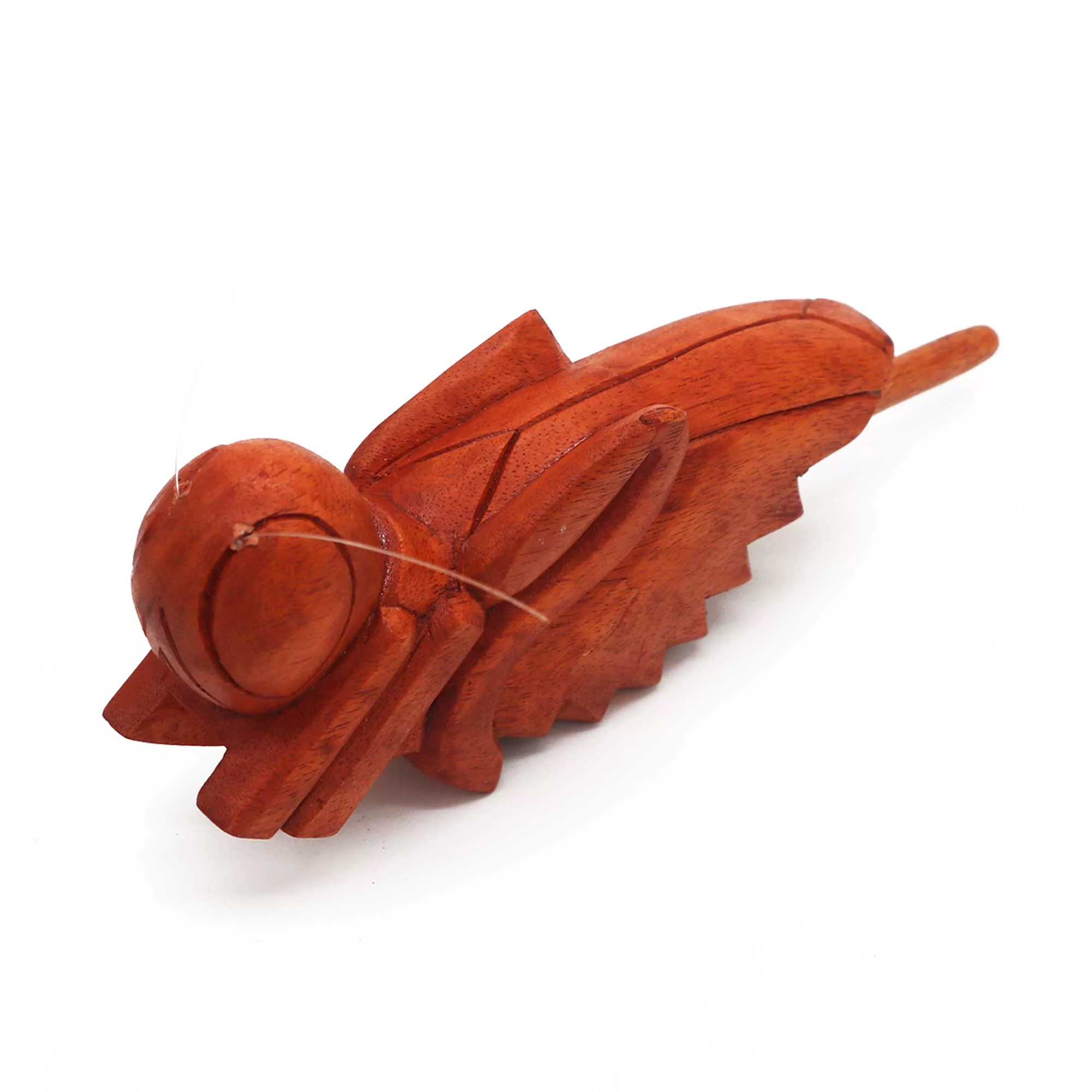 Churping Wooden Grasshopper - Image 2