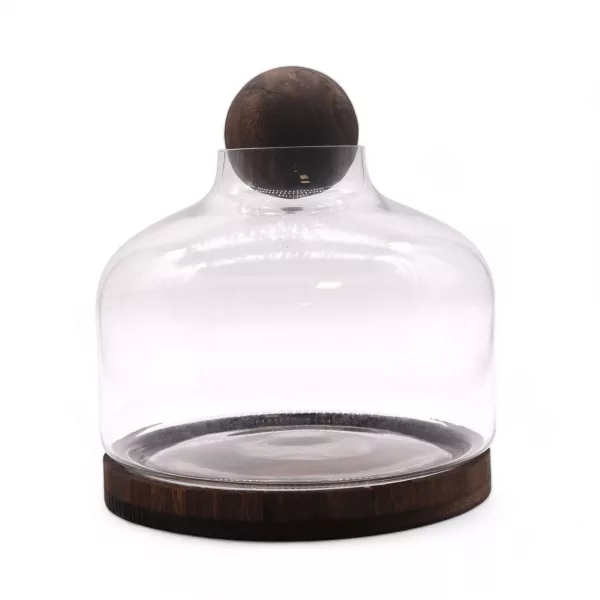 Ex-Large Ball Top Terrarium on Dark Tung Wood - Image 3
