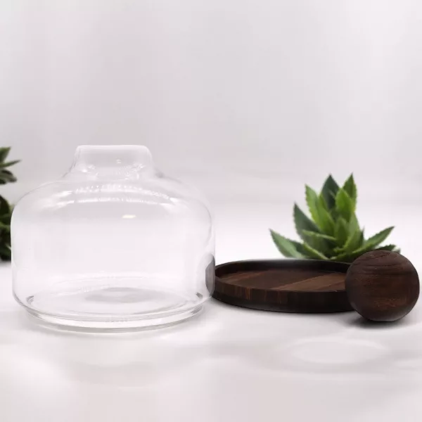 Ex-Large Ball Top Terrarium on Dark Tung Wood - Image 4