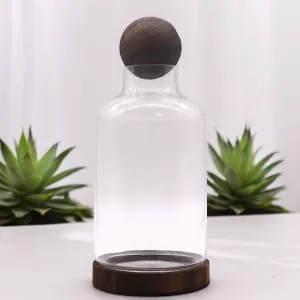 Large Ball Top Terrarium on Dark Tung Wood