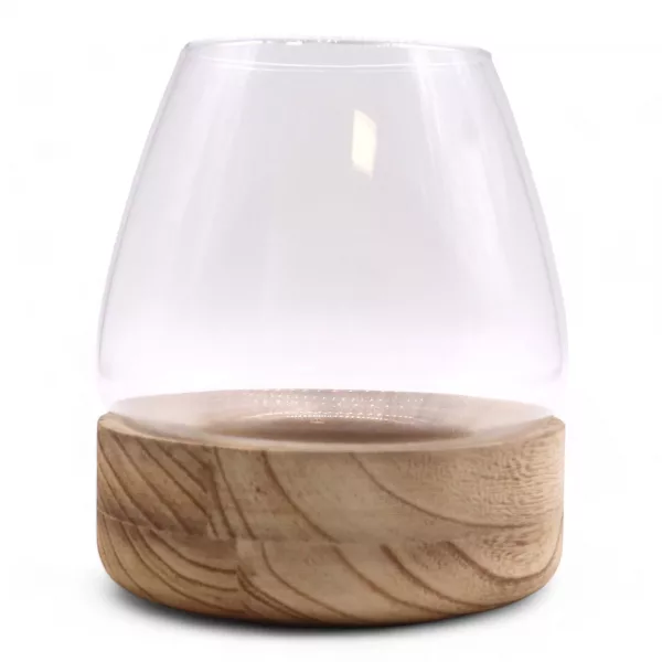 Large Terrarium on Natural Tung Wood - Image 2