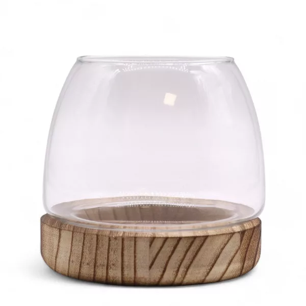 Small Terrarium on Natural Tung Wood - Image 2