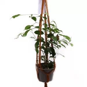 Macrame Pot Holder Classic – Chocolate Med Pot