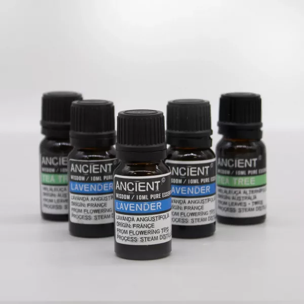Aromatherapy Set: 12 Bestselling Essential Oils with Mango Aromatherapy Box - Image 4