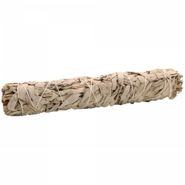 Smudge Stick - White Sage 22.5 cm - Image 2