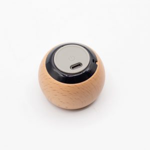 Wooden Mandela Effect Mini Speaker