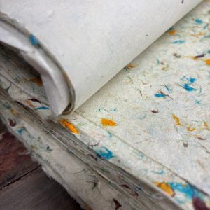 Lokta Craft & Wrapping Paper 51x76cm – Green Cotton