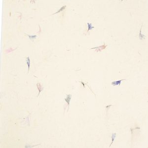 A4 - Lokta Craft Paper (20 sheet pack) - Cornflower
