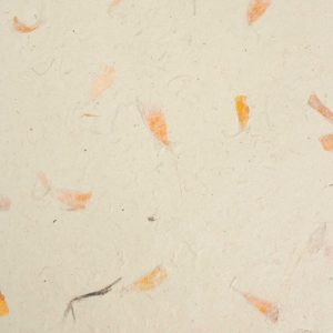 A4 - Lokta Craft Paper (20 sheet pack) - Marigold